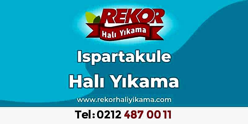 Ispartakule Halı Yıkama