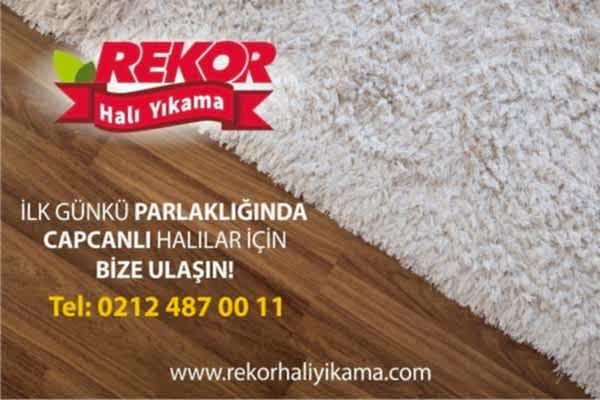 Rekor Halı Yıkama Güneşli
