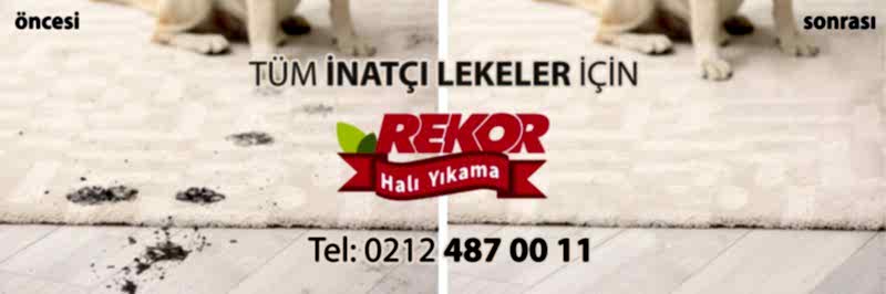 Leke Çıkarma Rekor Halı Yıkama