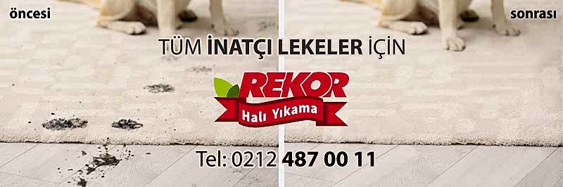 Göztepe Halı Yıkama