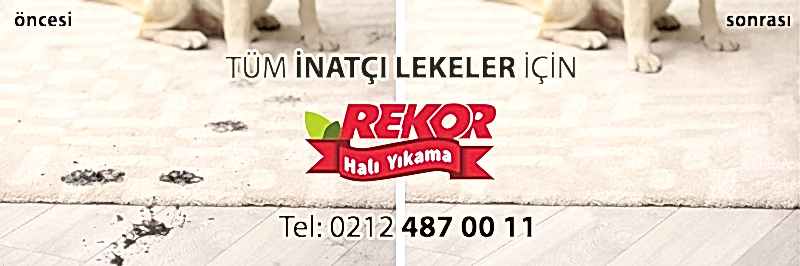 Evinizin Daha Güzel Kokması İçin Pratik Çözümler